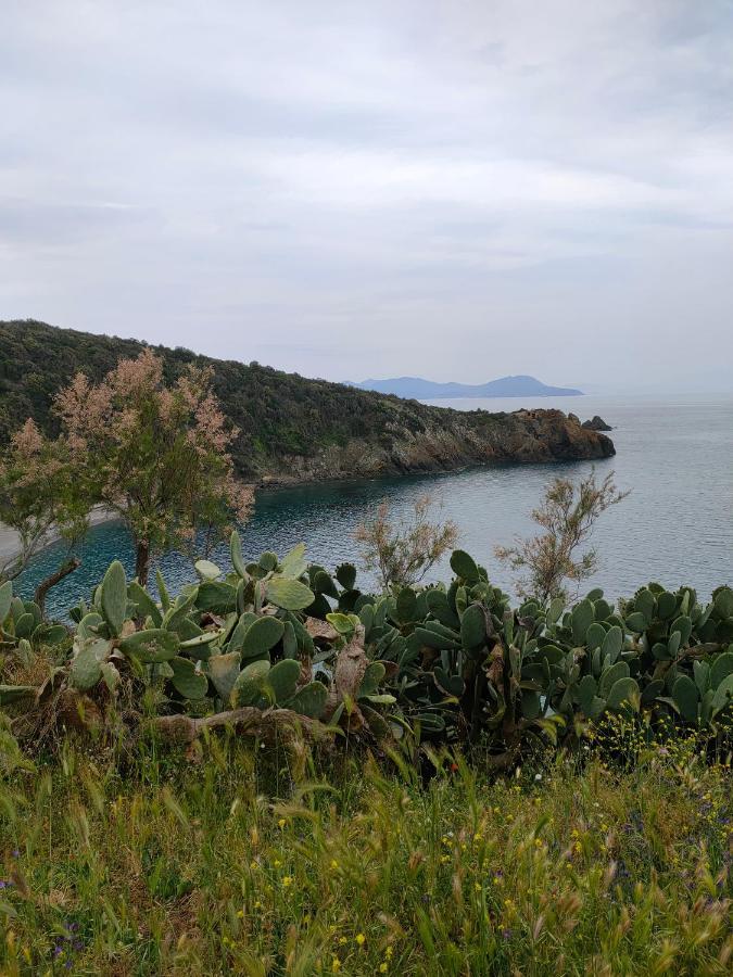 Domus Tilla Piombino Exteriér fotografie